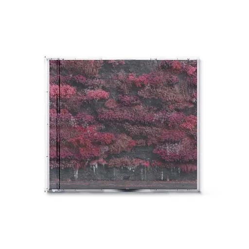 Sleep Token, Even In Arcadia, CD