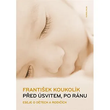 Před úsvitem, po ránu (9788024636399)