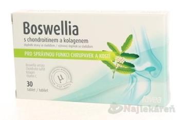 BOSWELLIA s chondroitínom a kolagénom, 30 tbl