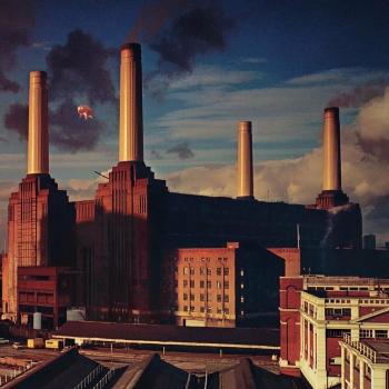 Pink Floyd - Animals (Reissue) (CD)