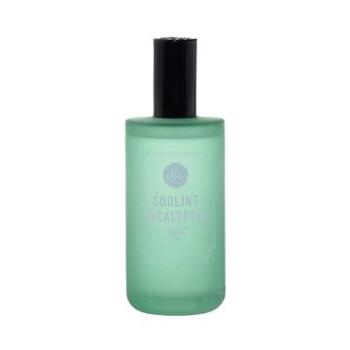 DW HOME Priestorový parfum Chladivý eukalyptus, 120 ml (2990145002459)