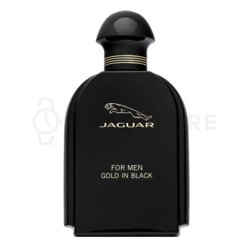 Jaguar For Men Gold in Black toaletná voda pre mužov 100 ml   - 30 dní na vrátenie tovaru, Garancia originality