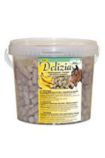 Delikatesa pre kone DELIZIA banán 3kg vedro