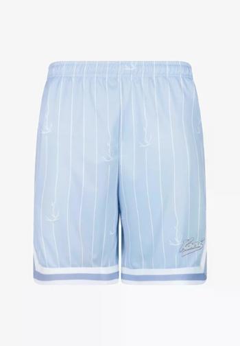 Karl Kani Small Varsity Logo Pinstripe Mesh Shorts light blue/white - XL