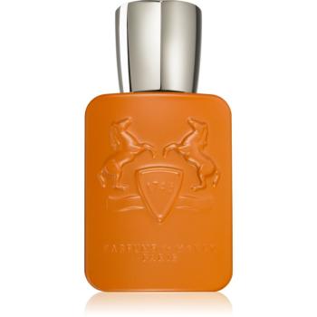 Parfums De Marly Althaïr parfumovaná voda pre mužov 75 ml