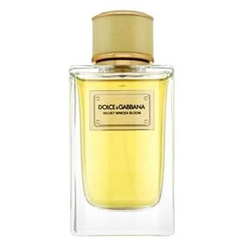 DOLCE & GABBANA Velvet Mimosa Bloom EdP 150 ml (3423473026495)