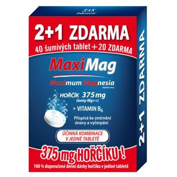 MAXIMAG Horčík 375 mg + vitamín B6 60 šumivých tabliet