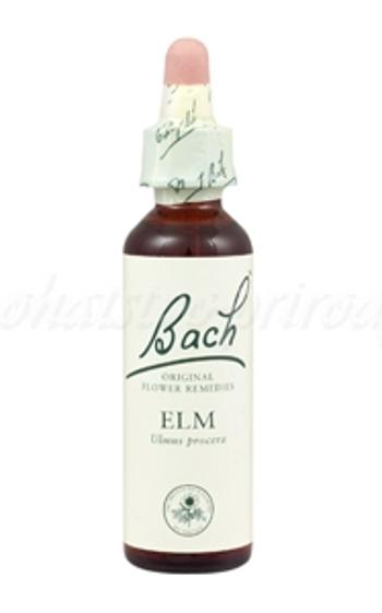 Elm - Brest 20 ml - bachove kvapky