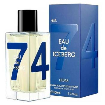 Iceberg Eau de Iceberg Cedar 100ml