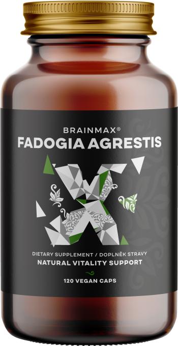 BRAINMAX Fadogia Agrestis 10:1, 120 kapslí