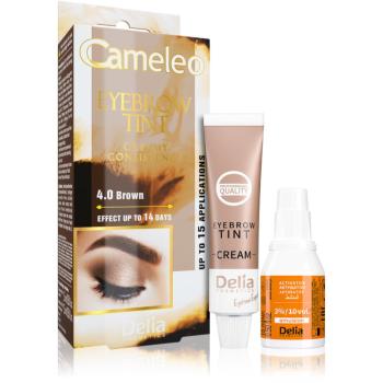 Delia Cosmetics Cameleo profesionálna krémová farba na obočie bez amoniaku odtieň 4.0 Brown 15 ml