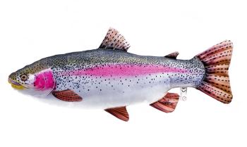 Gaby Polštář Pstruh duhový 62 cm,Gaby Polštář Pstruh duhový 62 cm