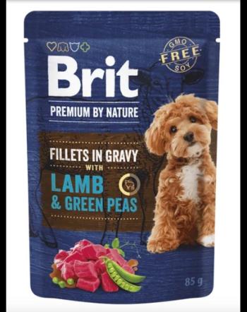 BRIT Premium By Nature Dog Fillets in Gravy 24x85g plic hrana umeda caini, miel si mazare verde