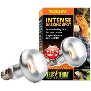 Hagen Žiarovka Intense Basking Spot 100 W (015561221382)