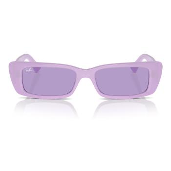 Ray-ban  Occhiali da Sole  Teru RB4425 67581A  Slnečné okuliare Fialová