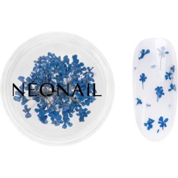 NEONAIL Dried Flowers sušený kvet na nechty odtieň 04 Navy 1 ks