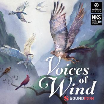 Soundiron Voices of Wind Collection (Digitálny produkt)