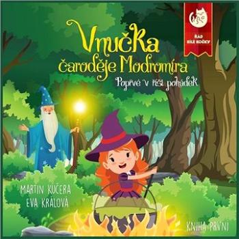 Vnučka čaroděje Modromíra - Poprvé v říši pohádek