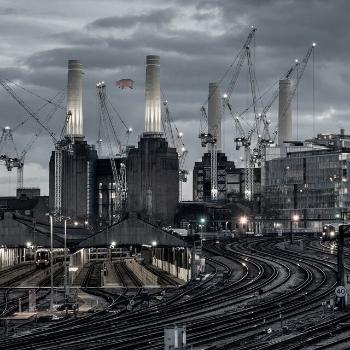 Pink Floyd - Animals (2018 Remix) (Reissue) (LP)