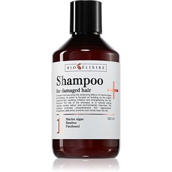 Bioélixire For Damaged Hair posilňujúci šampón pre poškodené vlasy 300 ml