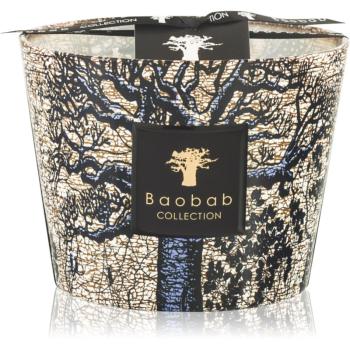 Baobab Collection Sacred Trees Seguela vonná sviečka 10 cm