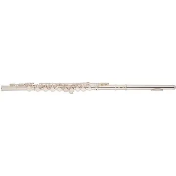 BACIO INSTRUMENTS FL-016S (HN212202)