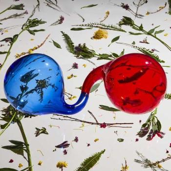 DIRTY PROJECTORS - LAMP LIT PROSE, Vinyl