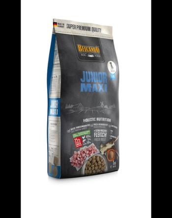 BELCANDO Junior Maxi hrana uscata pentru cainii cu varsta 4 luni+, talie L-XL, 1 kg