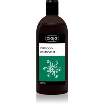 Ziaja Family Shampoo šampón proti lupinám 500 ml