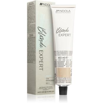 Indola Blond Expert Pastel tónovacia farba na vlasy odtieň P.11 60 ml