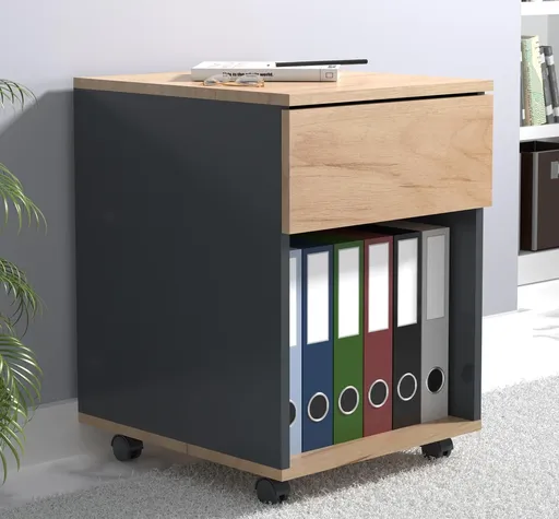 VCM Mobilní kontejner Dalosa 45 1-SB, dub medový