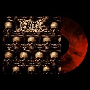 Hate: Awakening of the Liar LP