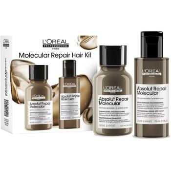 L’Oréal Professionnel Serie Expert Absolut Repair Molecular darčeková sada pre poškodené vlasy