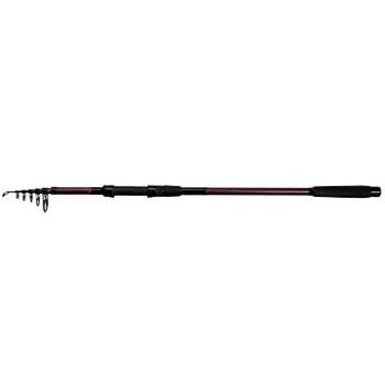 Delphin Taiga NXT 3,3 m 3 lb (8586018490818)