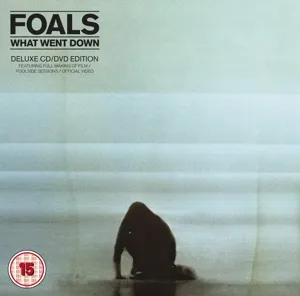 Foals, FOALS: WHAT WENT DOWN DVD, CD