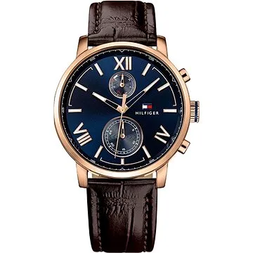 TOMMY HILFIGER ALDEN 1791308 (7613272220453)