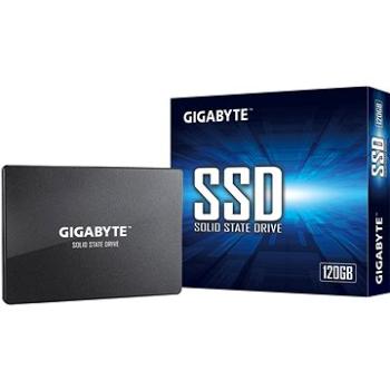 GIGABYTE SSD 120GB (GP-GSTFS31120GNTD)