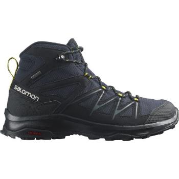 Salomon DAINTREE MID GTX Férfi túracipő, sötétkék, méret 41 1/3