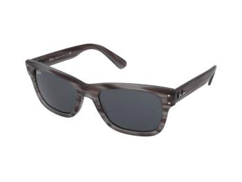 Ray-Ban Mr Burbank RB2283 1314R5