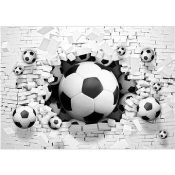 Fototapeta 368 × 254 Fotbal (C3383V8)