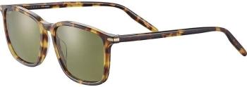Serengeti Lenwood Shiny Classic Havana/Mineral Polarized Lifestyle okuliare