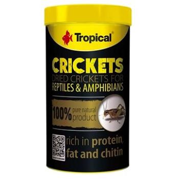 Tropical Crickets 100 ml 10 g (6911193)