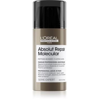 L’Oréal Professionnel Serie Expert Absolut Repair Molecular obnovujúca maska pre poškodené vlasy 100 ml