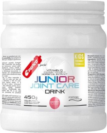 PENCO Junior Joint Care Melón 450 g