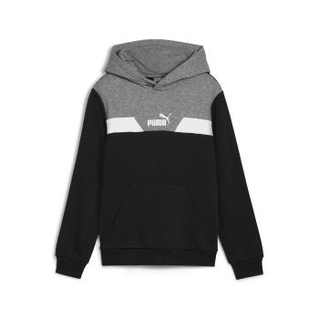 Puma  POWER COLORBLOCK HOODIE TR  Mikiny Čierna