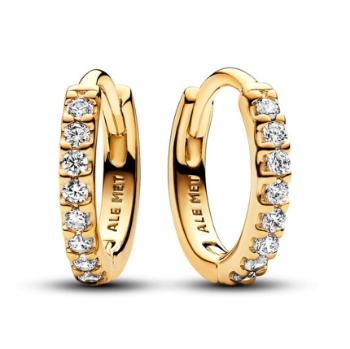 Pandora Pozlátené kruhové náušnice so zirkónmi Timeless Shine 263015C01