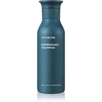 AYUNCHE Refreshing Shampoo osviežujúci šampón pre mastné vlasy a vlasovú pokožku 200 g