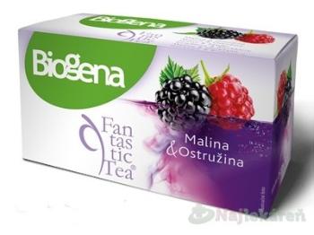 Biogena Fantastic Tea Malina & Ostružina ovocný čaj 20x2,2 g