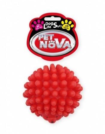 Petnova Hracky VIN HEDHEHOG S
