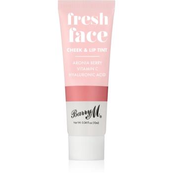 Barry M Fresh Face tekutá lícenka a lesk na pery odtieň Summer Rose 10 ml